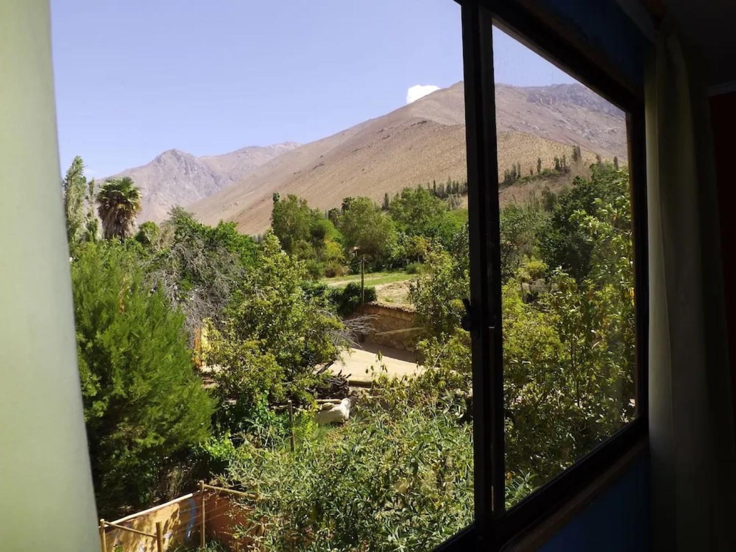 Balcones de Pisco Elqui