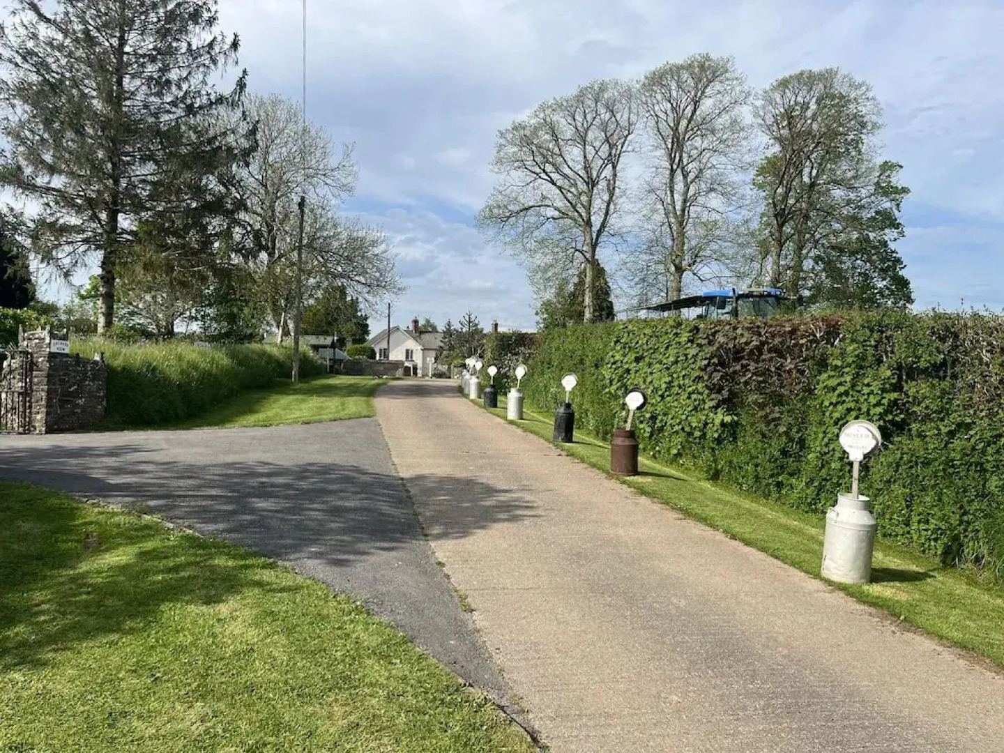 War Horse Valley Orchard View