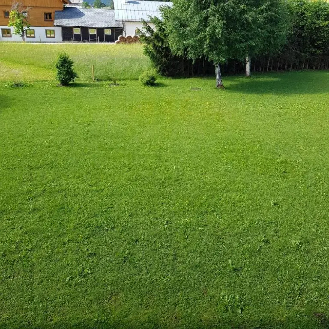 Apartment Dachsteinblick