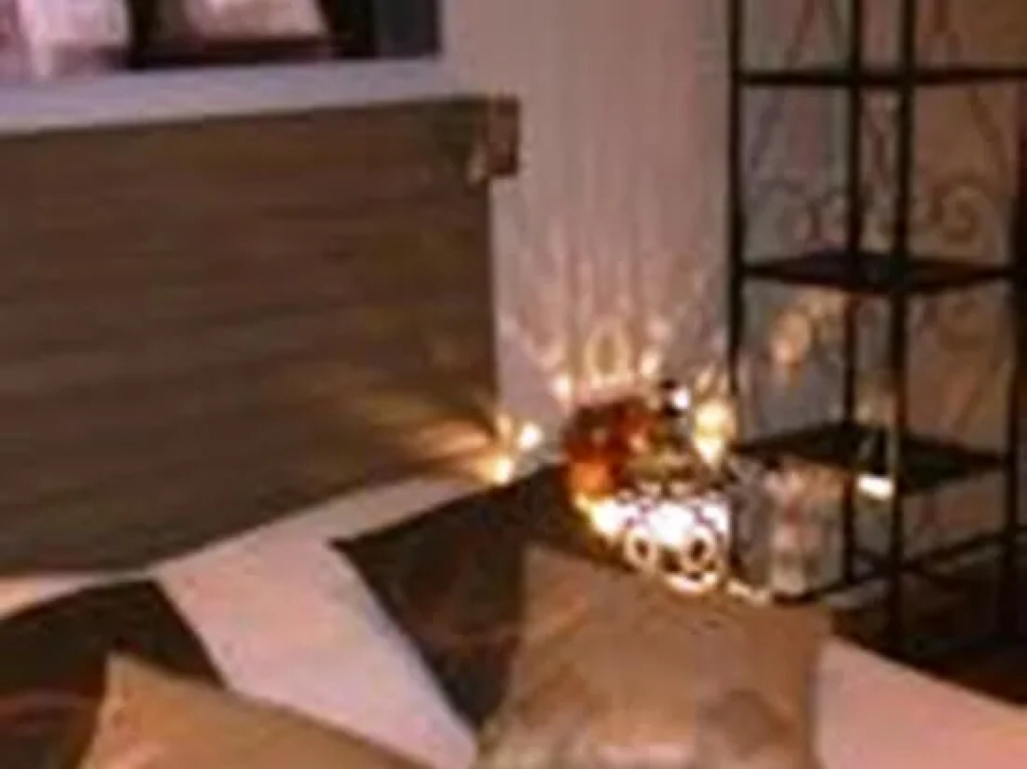 LEntre Garonne et LOlivier