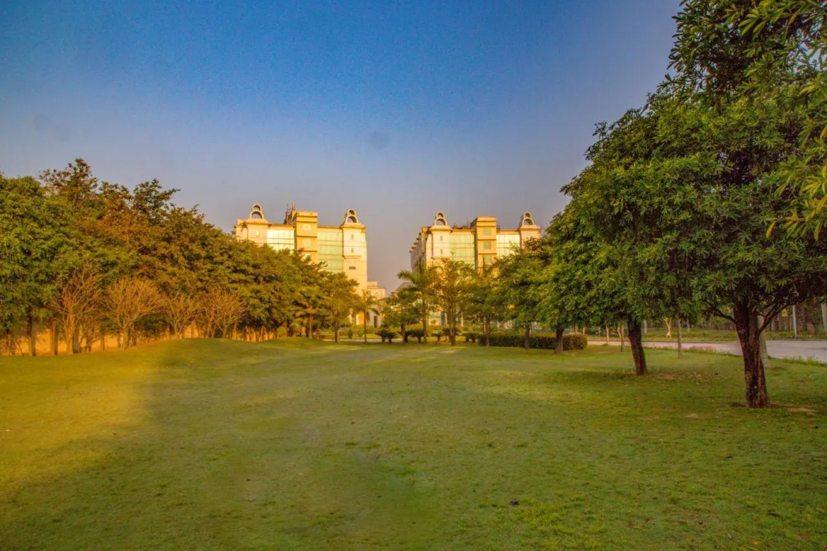 Four Leaf Service Suites