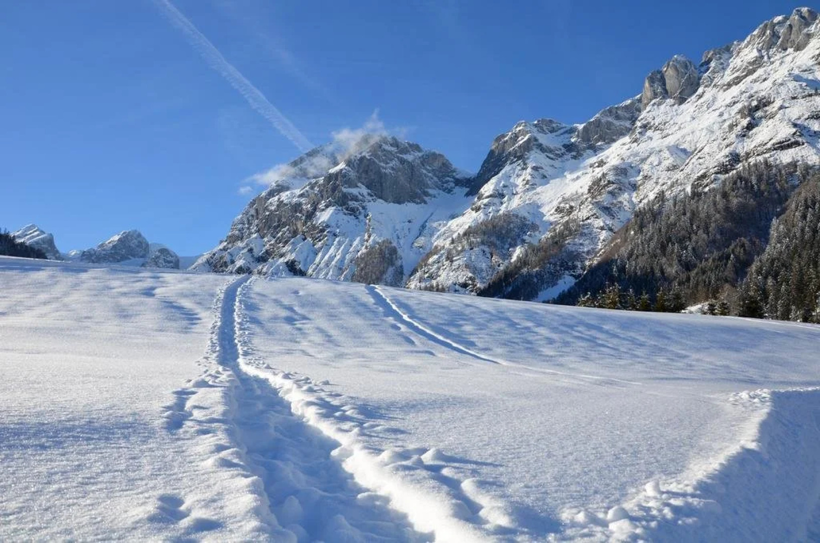 Apartments Alpenfrieden