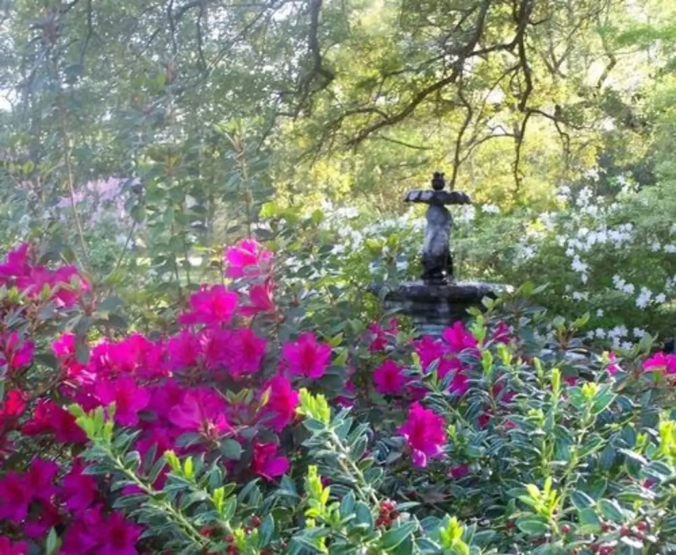 Woodridge Bed and Breakfast of Louisiana
