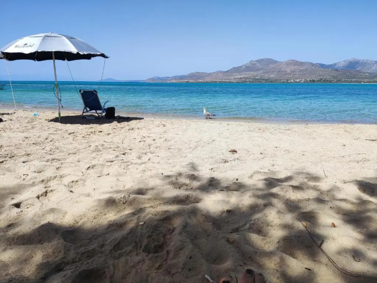 Bahia- apartment by the sea,close to cedar forest!