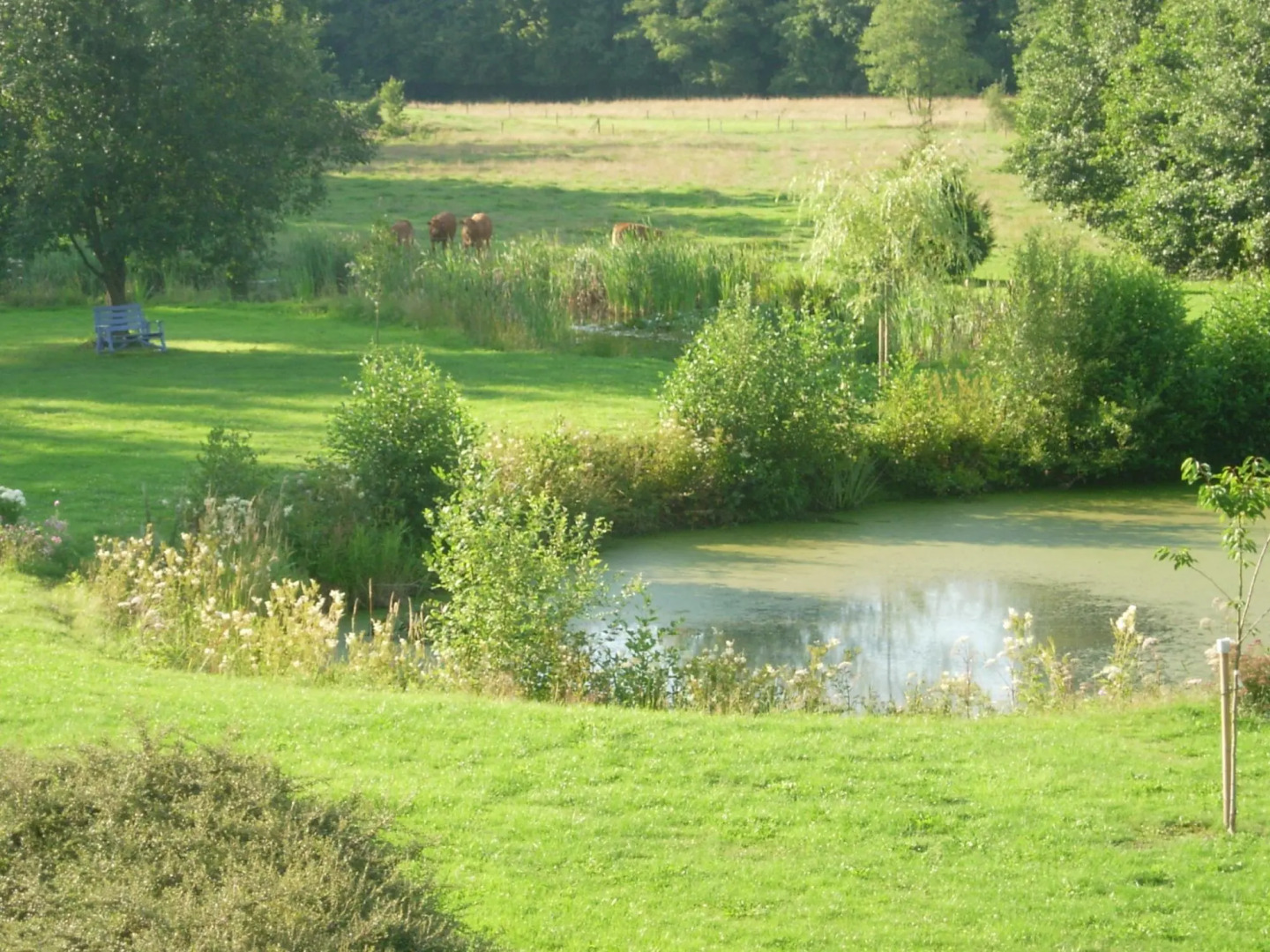 Lovely Holiday Home in Chimay with Terrace