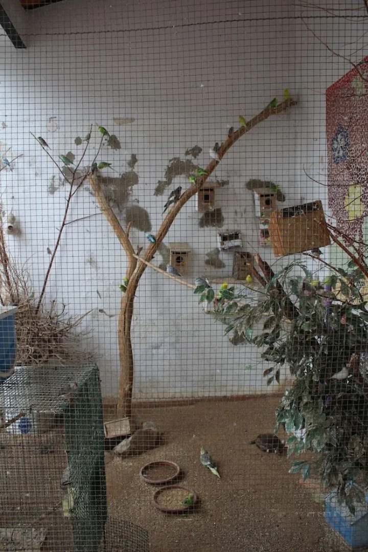 Albergue Camino de Santiago - Hostel