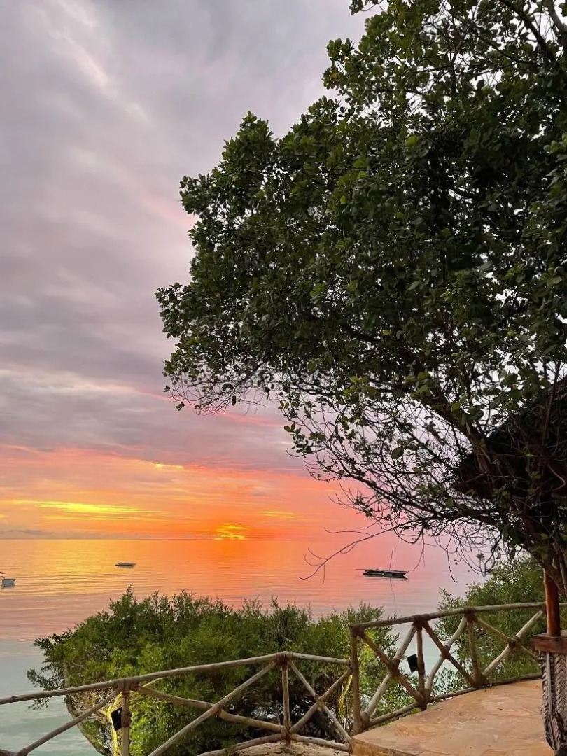 The Island - Pongwe Lodge - Adults Only