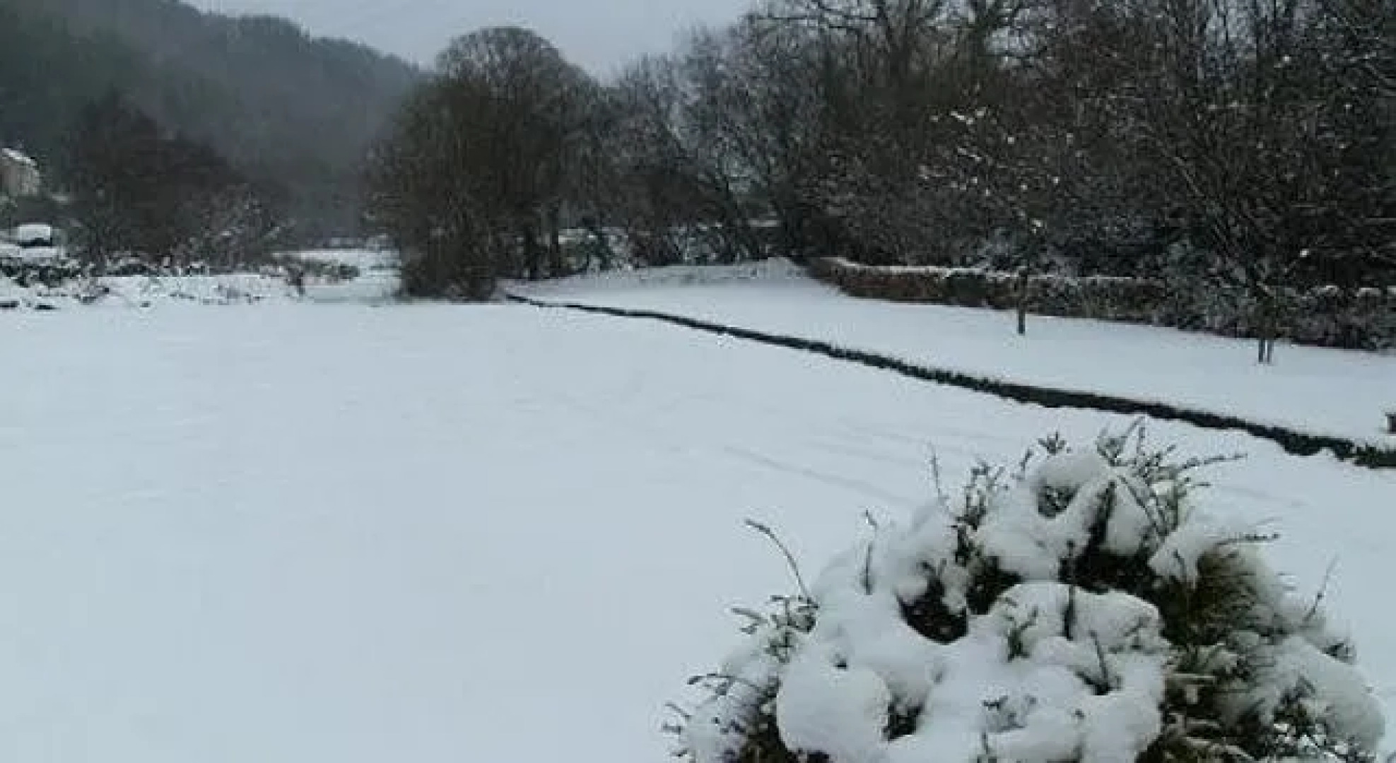 The Hollybrook Country Inn