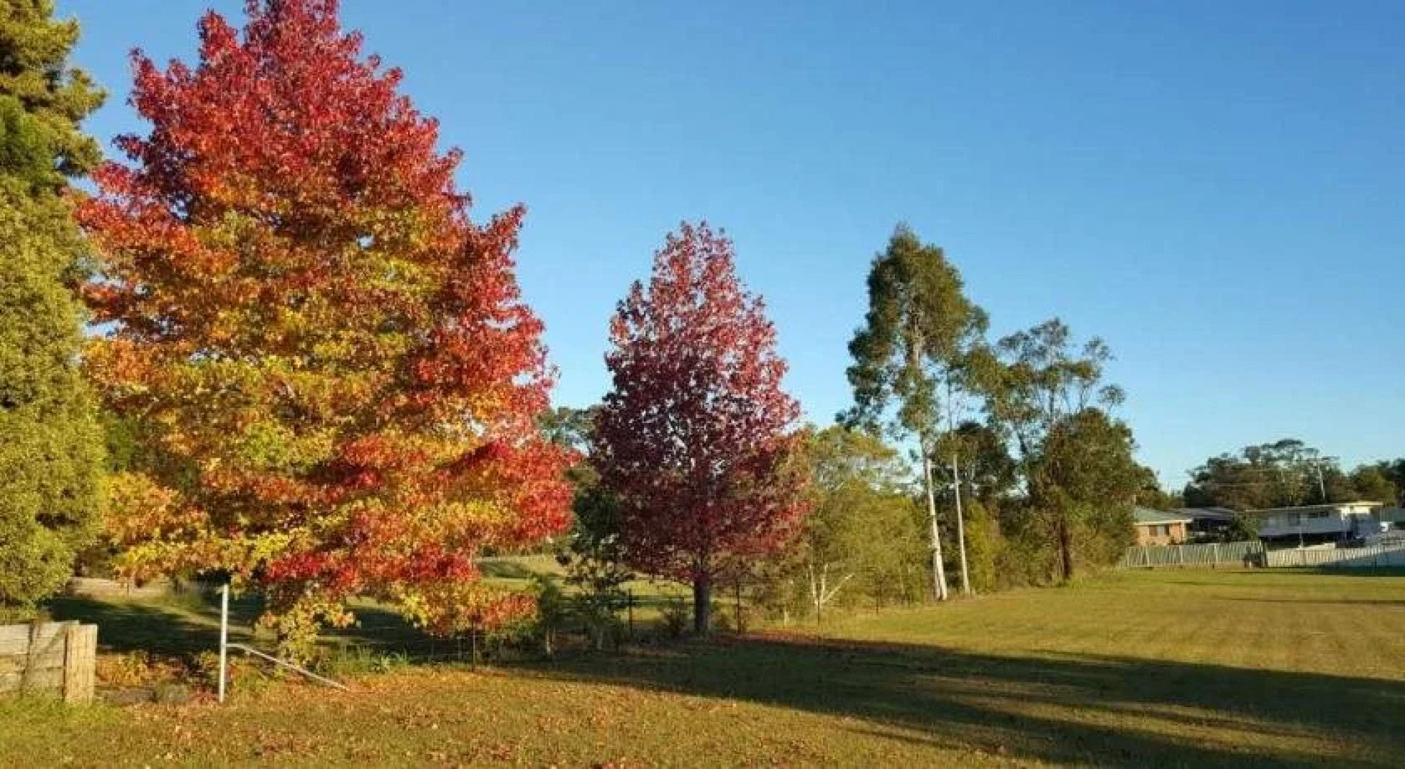 Bulahdelah Myall Motel