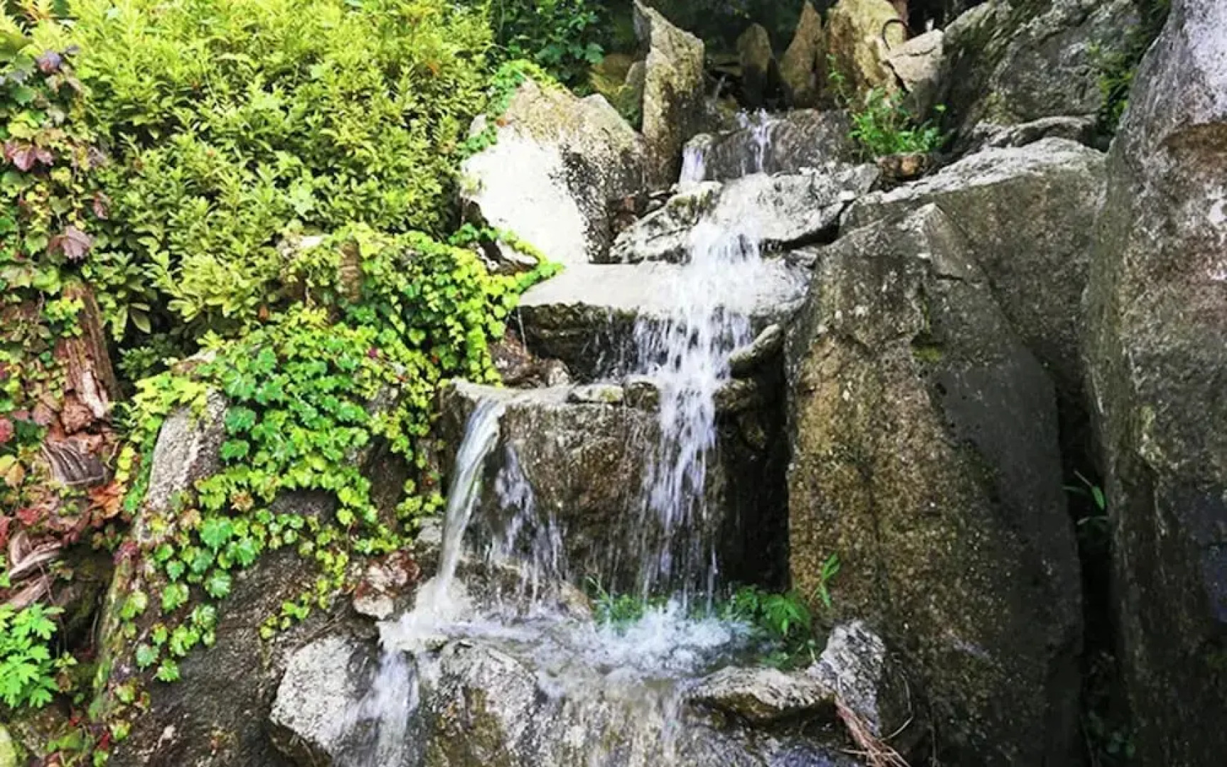 Yangpyeong Angel Singmurwon Pension