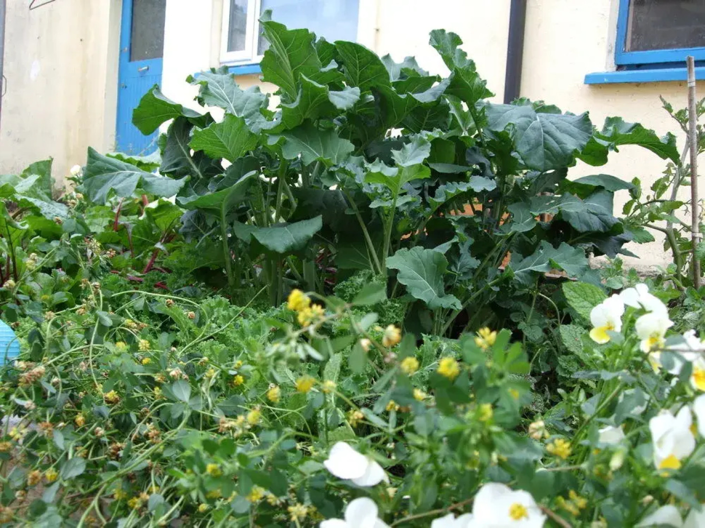 Homefield Rock Hostel