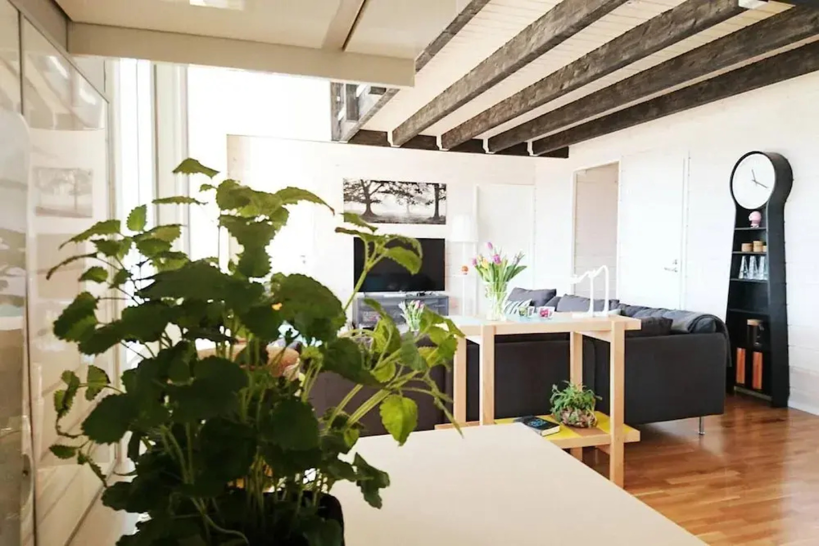 Large 8-9-bed Central Ski Innout House in Hemavan