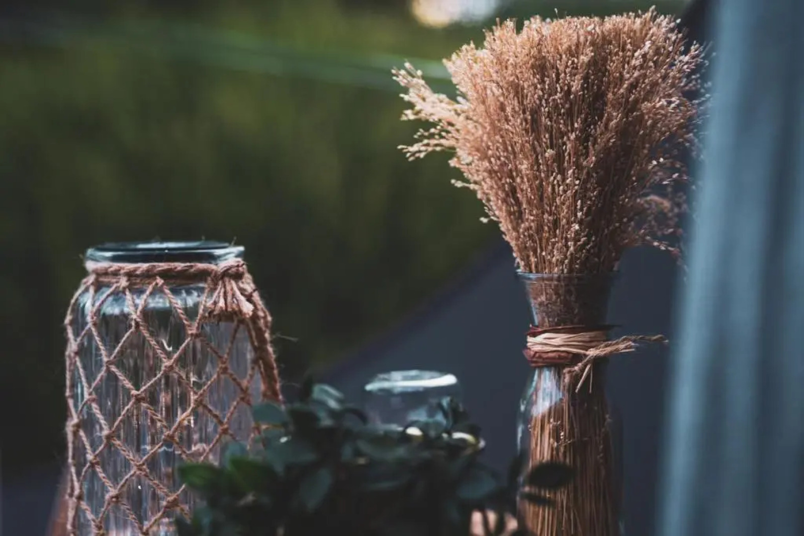 Reves2bulles (Adults Only)