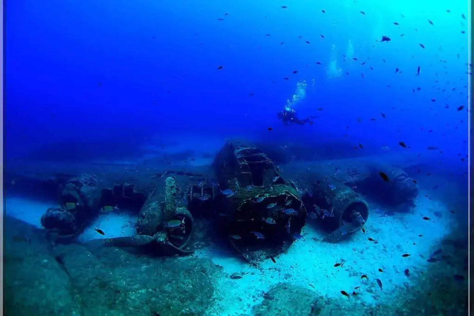 T2 Loft entre mer et montagne