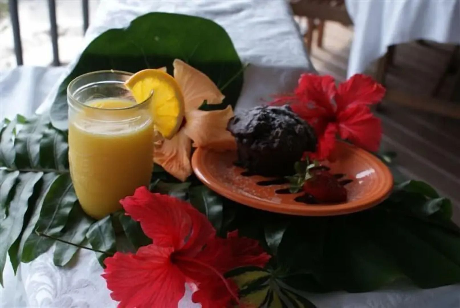 Deer Run Bed & Breakfast