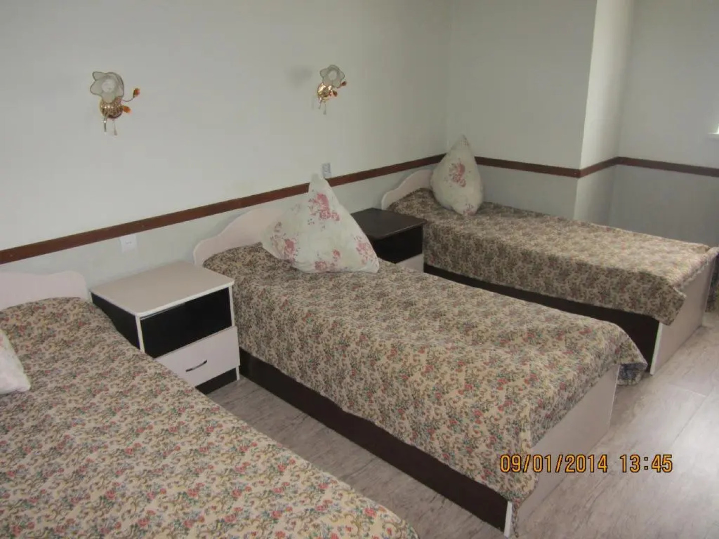 Большая Медведица