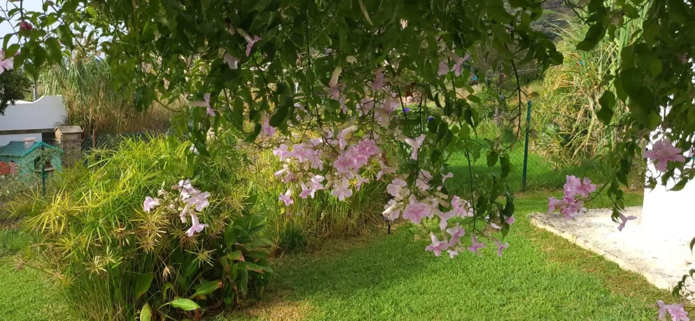 Rancho Blanco Tarifa