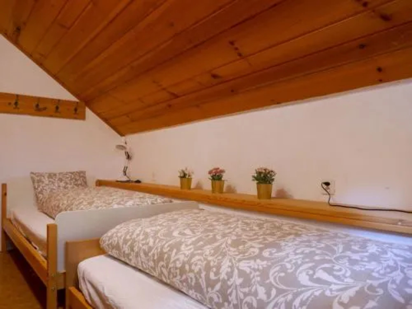 House Lisca Leontica