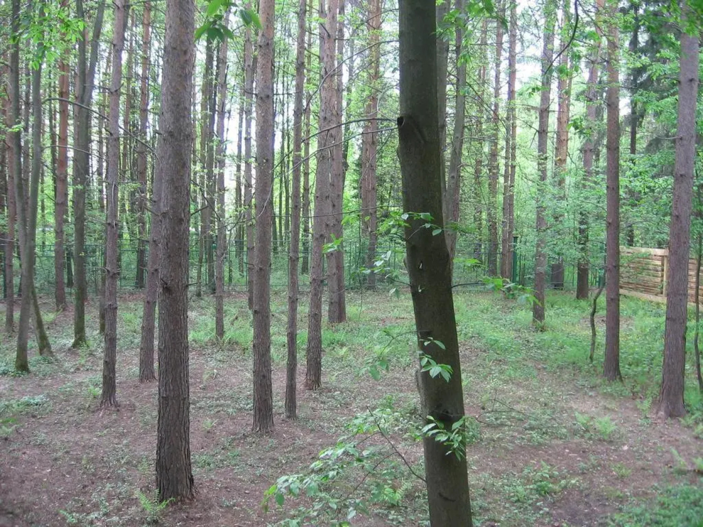 Дачный Хостел