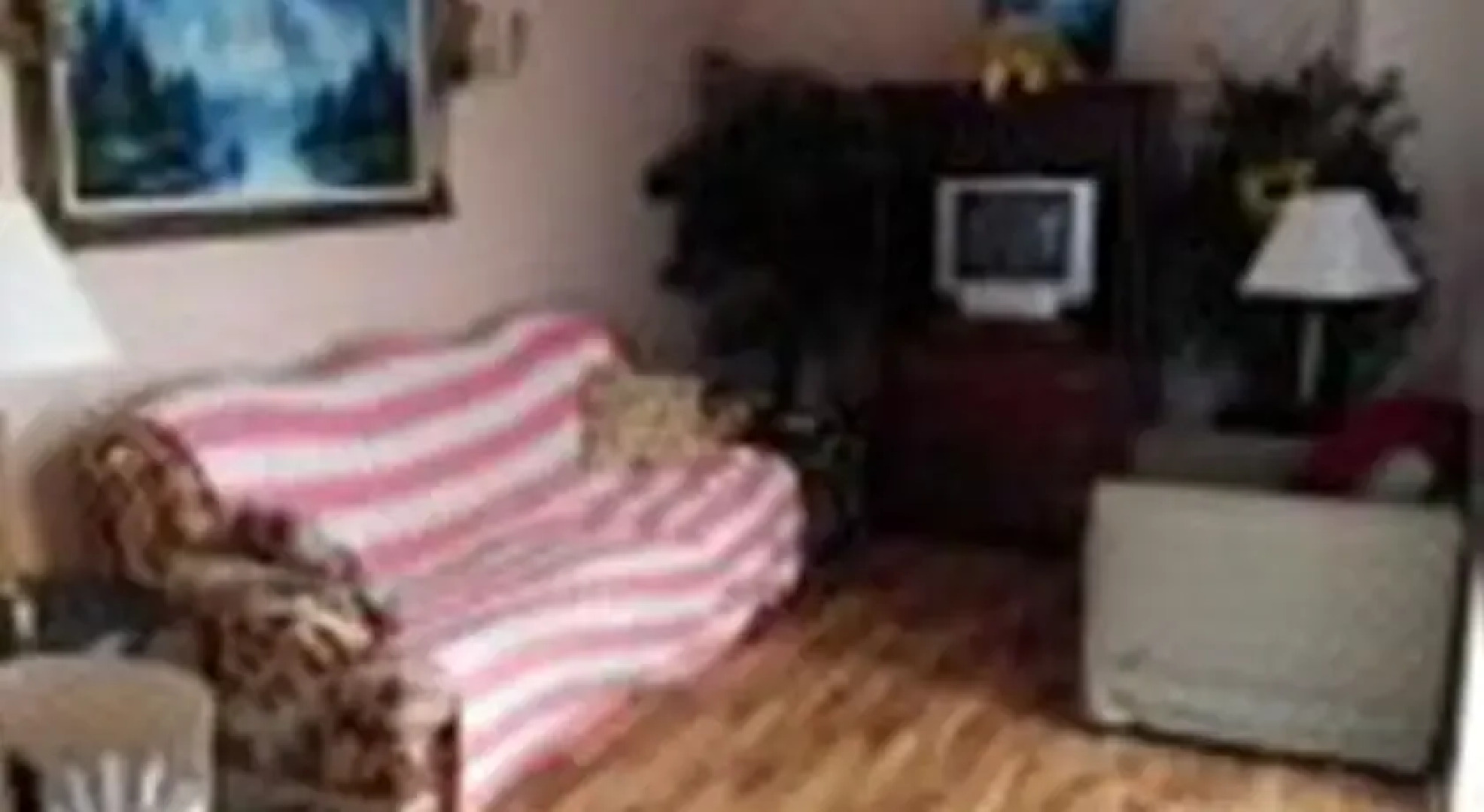 C&N Backpackers - Port Hardy