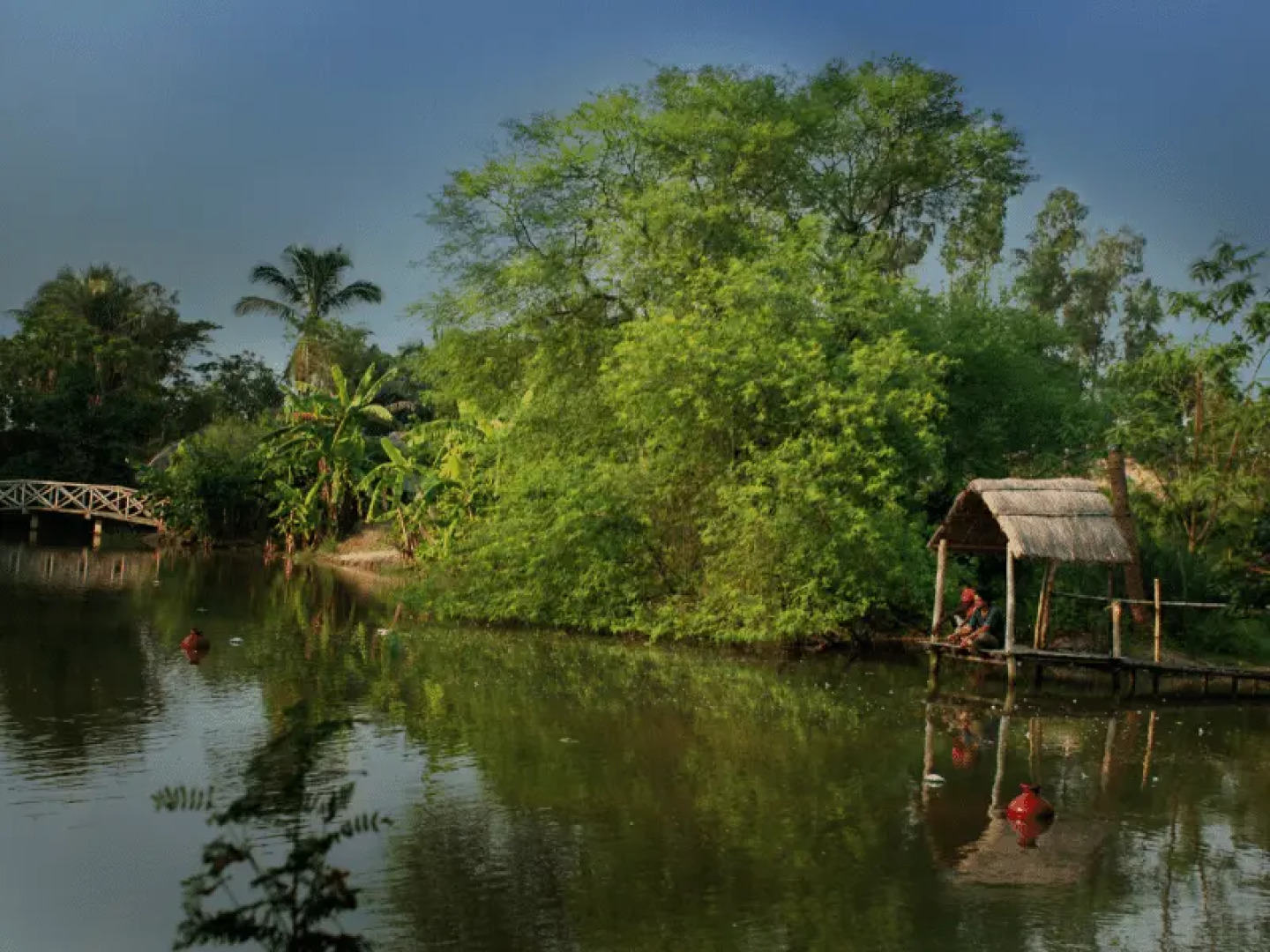 The Riverwood Forest Retreat- Dooars