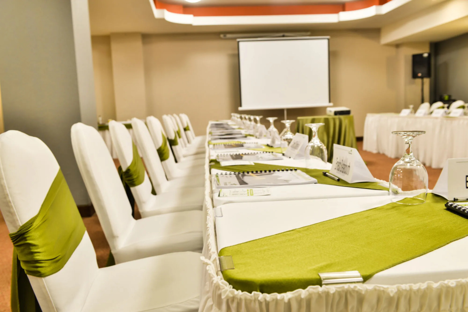 Hotel Plaza San Martin