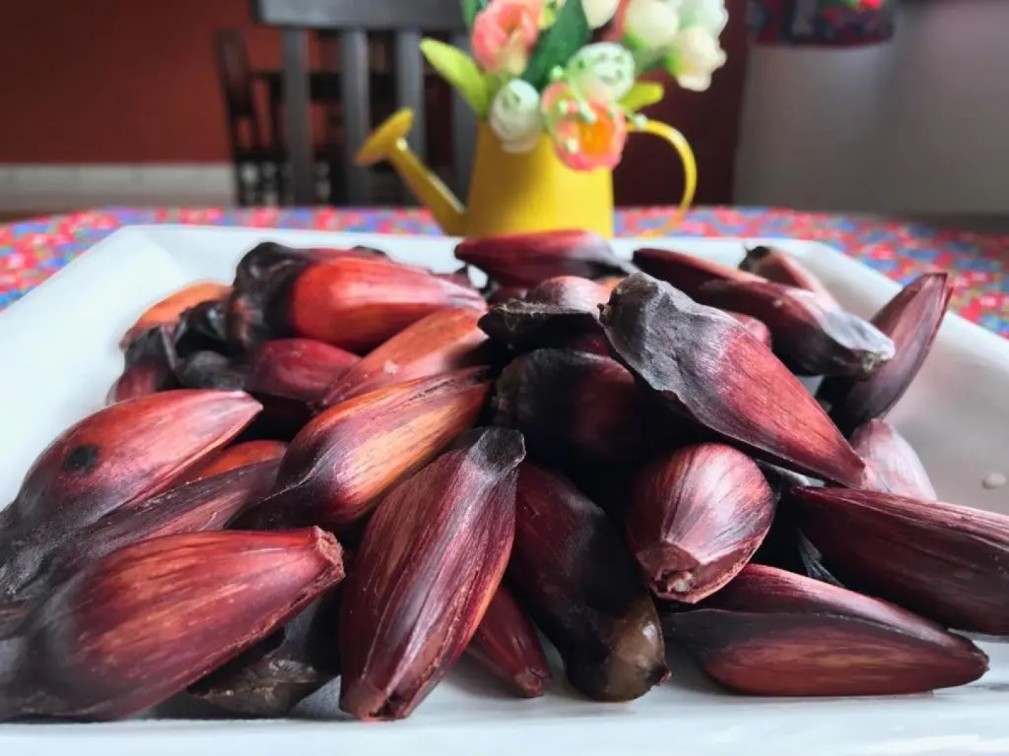 Hospedaria Caminho da Roça