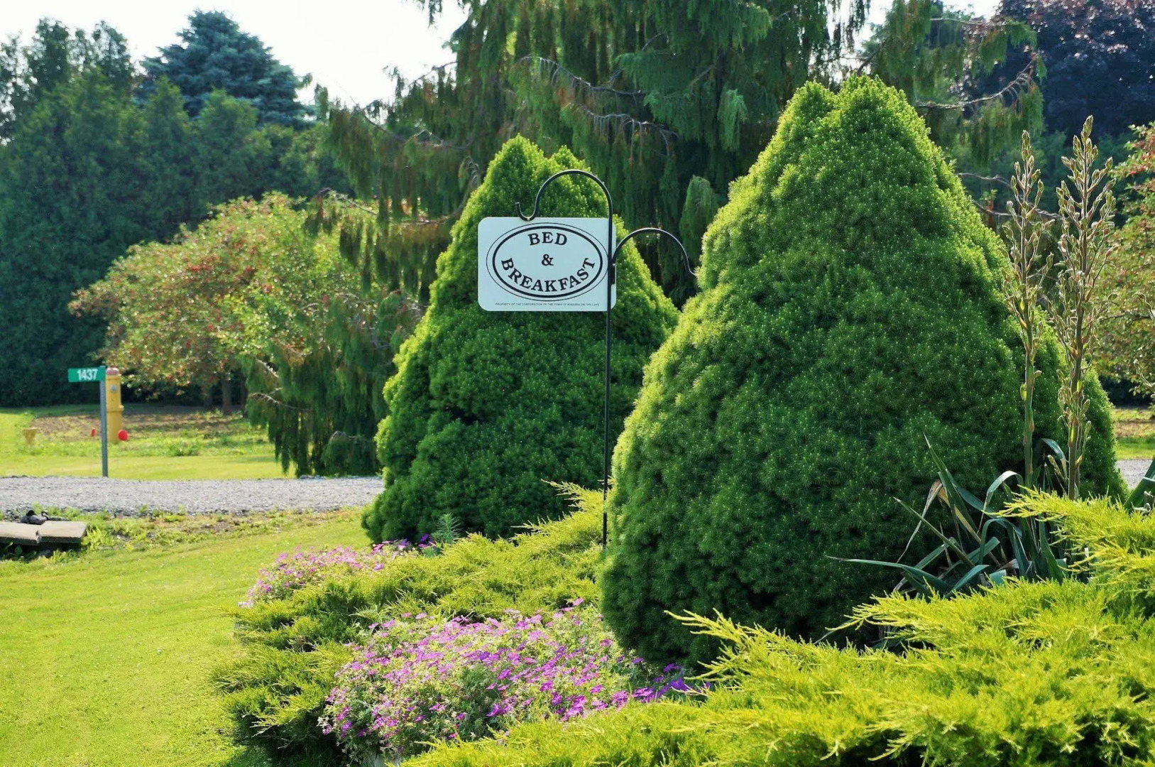 On the 6 Bed and Breakfast