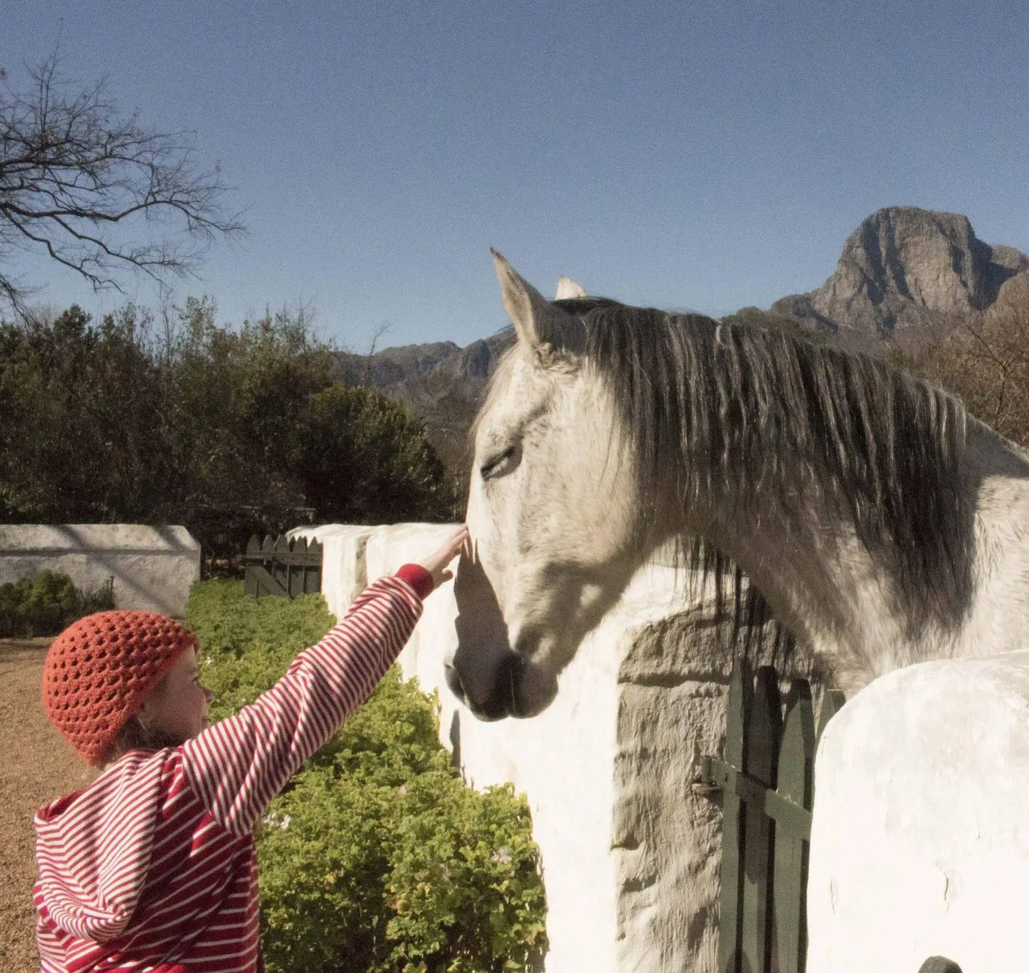 Boschendal Farm Estate