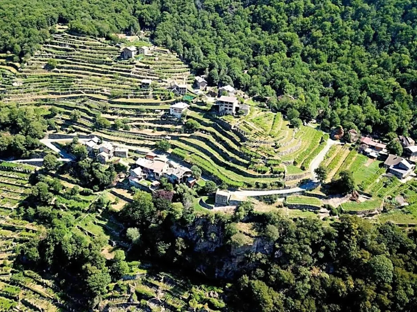 B&B Al Vecchio Torchio