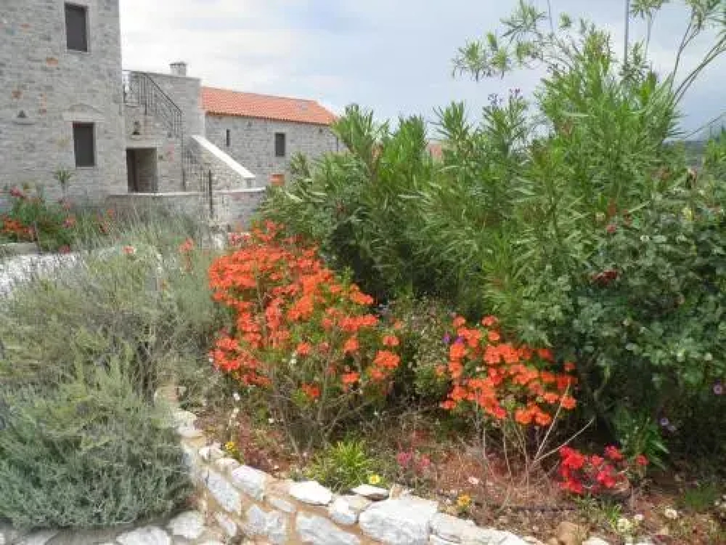 Althea Village