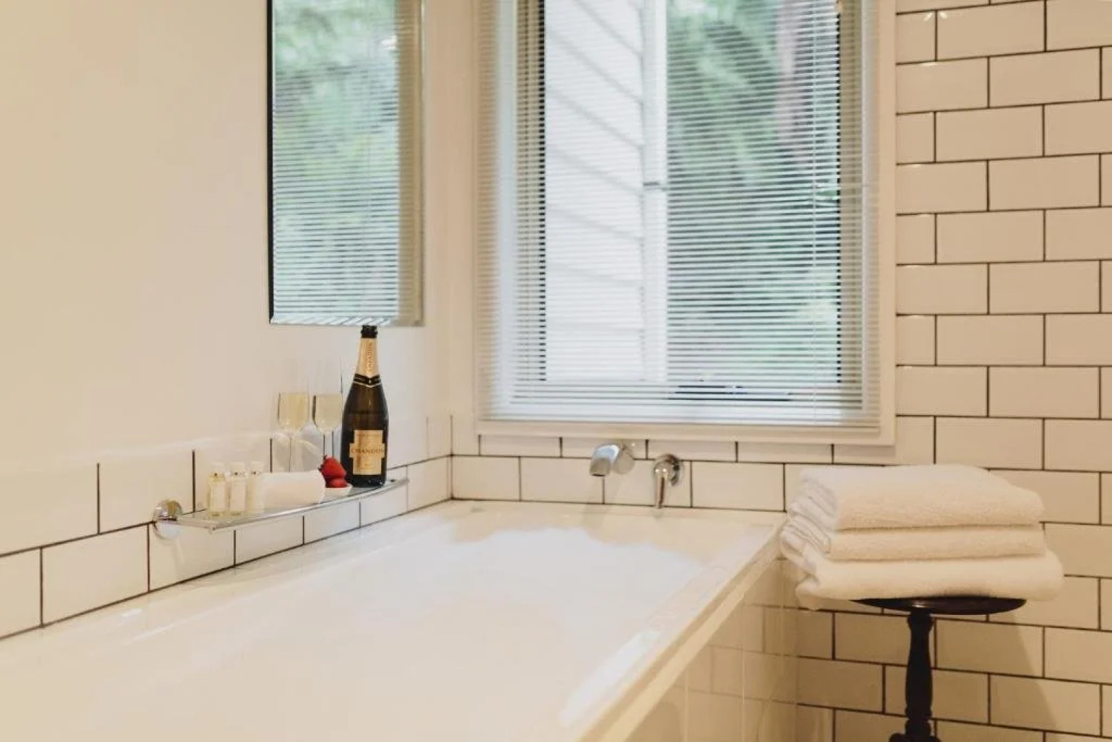 Dingleigh of Sassafras (Adults Only)