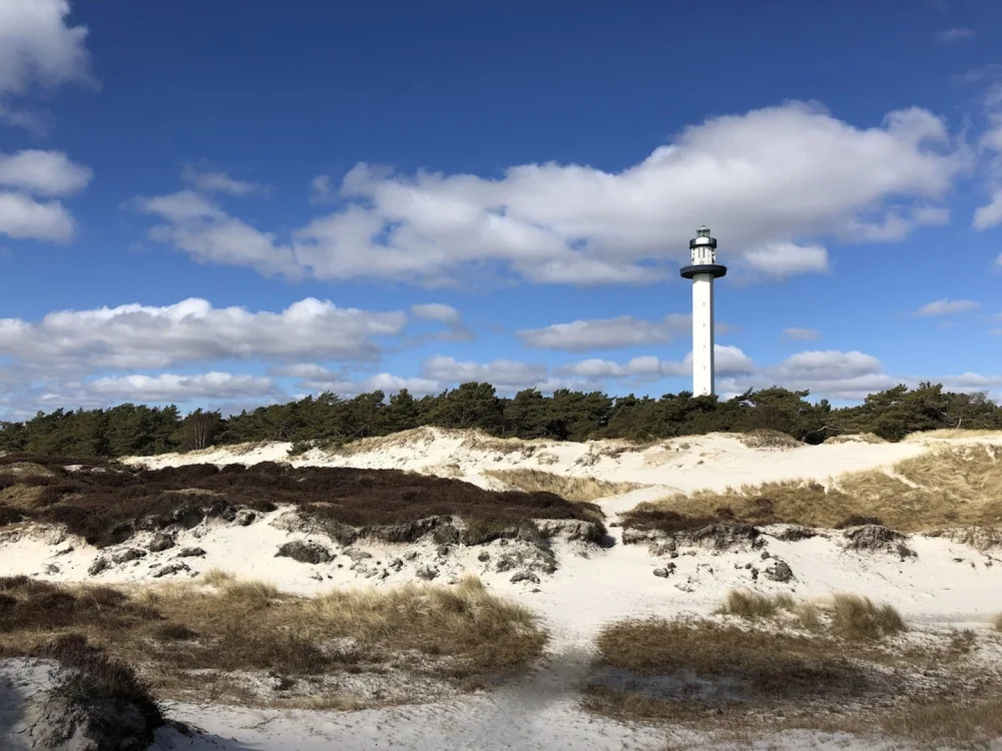 Myregaard B&B & Apartments