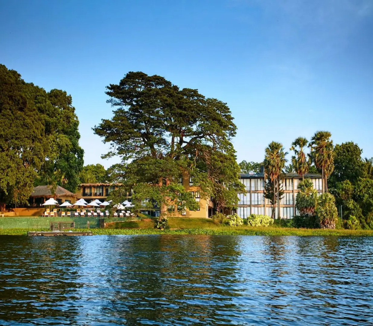 Cinnamon Safari Yala Tours