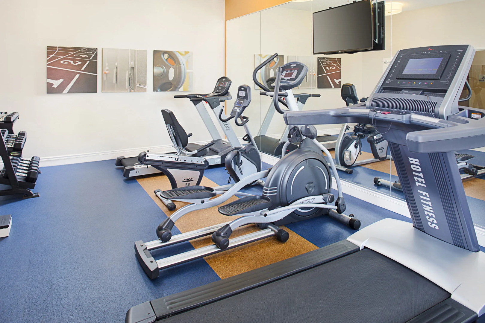 Holiday Inn Express Hotel & Suites Auburn - University Area by IHG