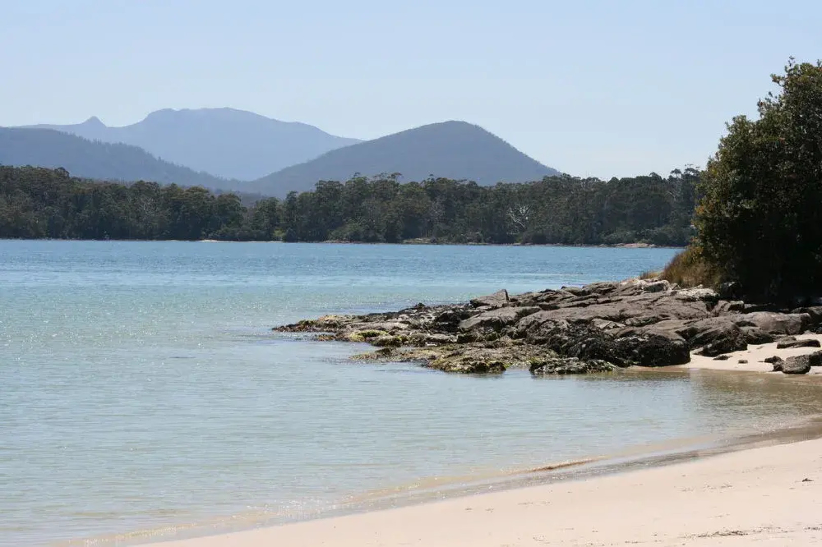 Essentially Tas - Southport