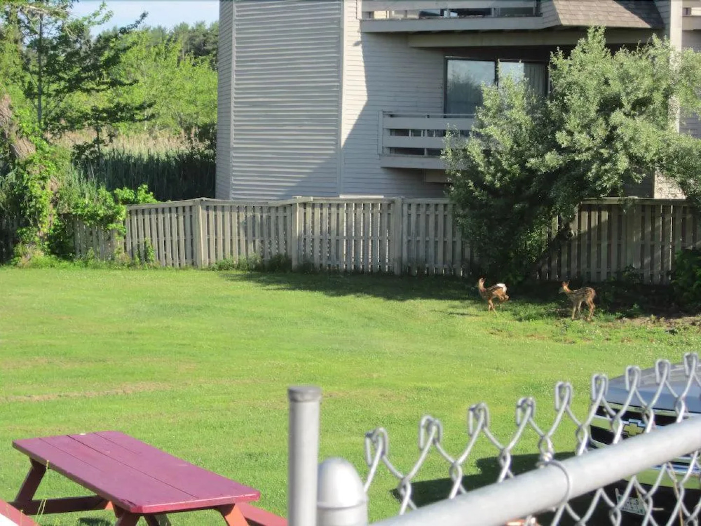 Windjammer By The Sea