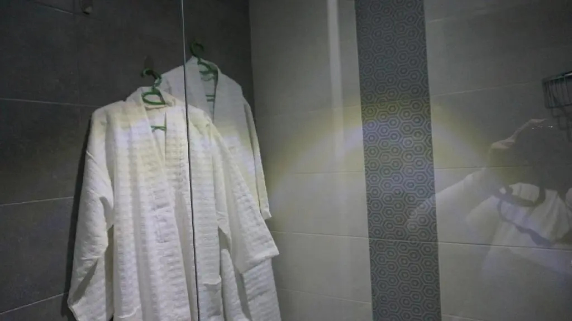 White Tiger in New Gudauri II