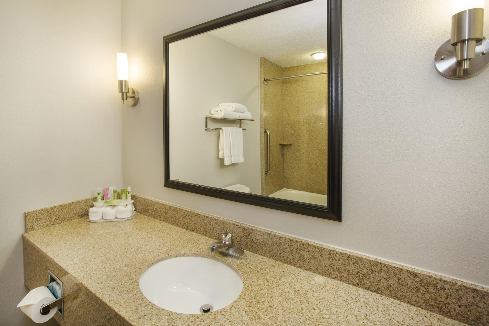 Holiday Inn Express Hotel & Suites Kalamazoo