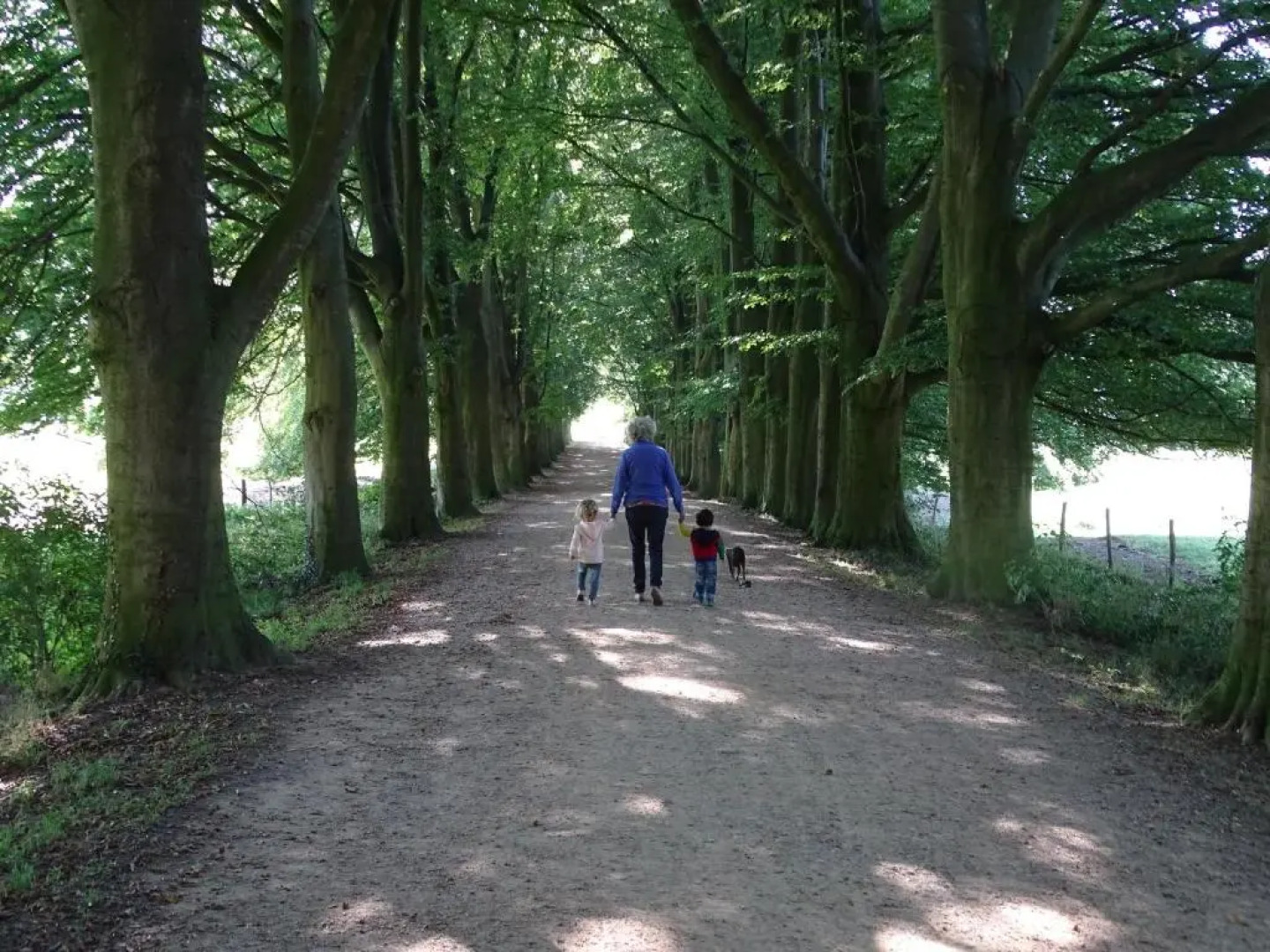 Vakantie appartement Paedshof Ransdaal