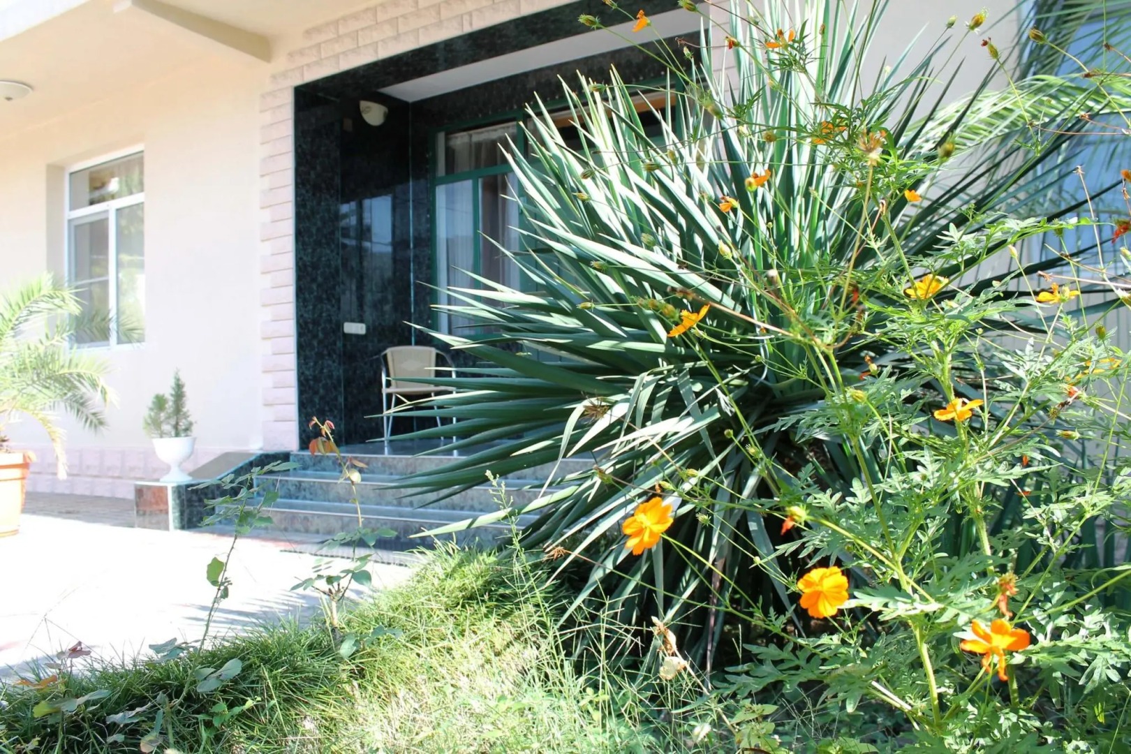 Виктория (Адлер)