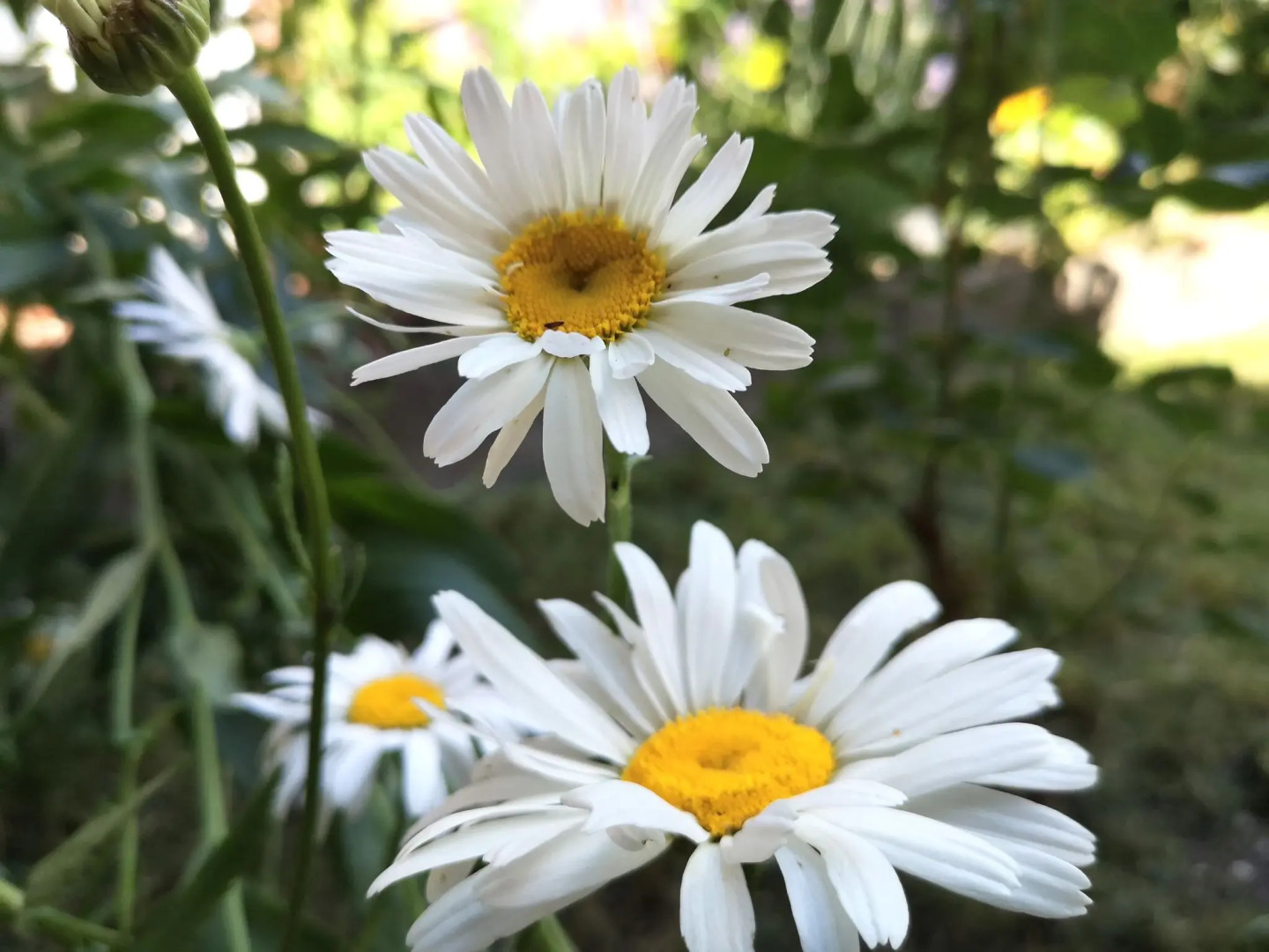 Stellar Apartment in Detmold With Garden