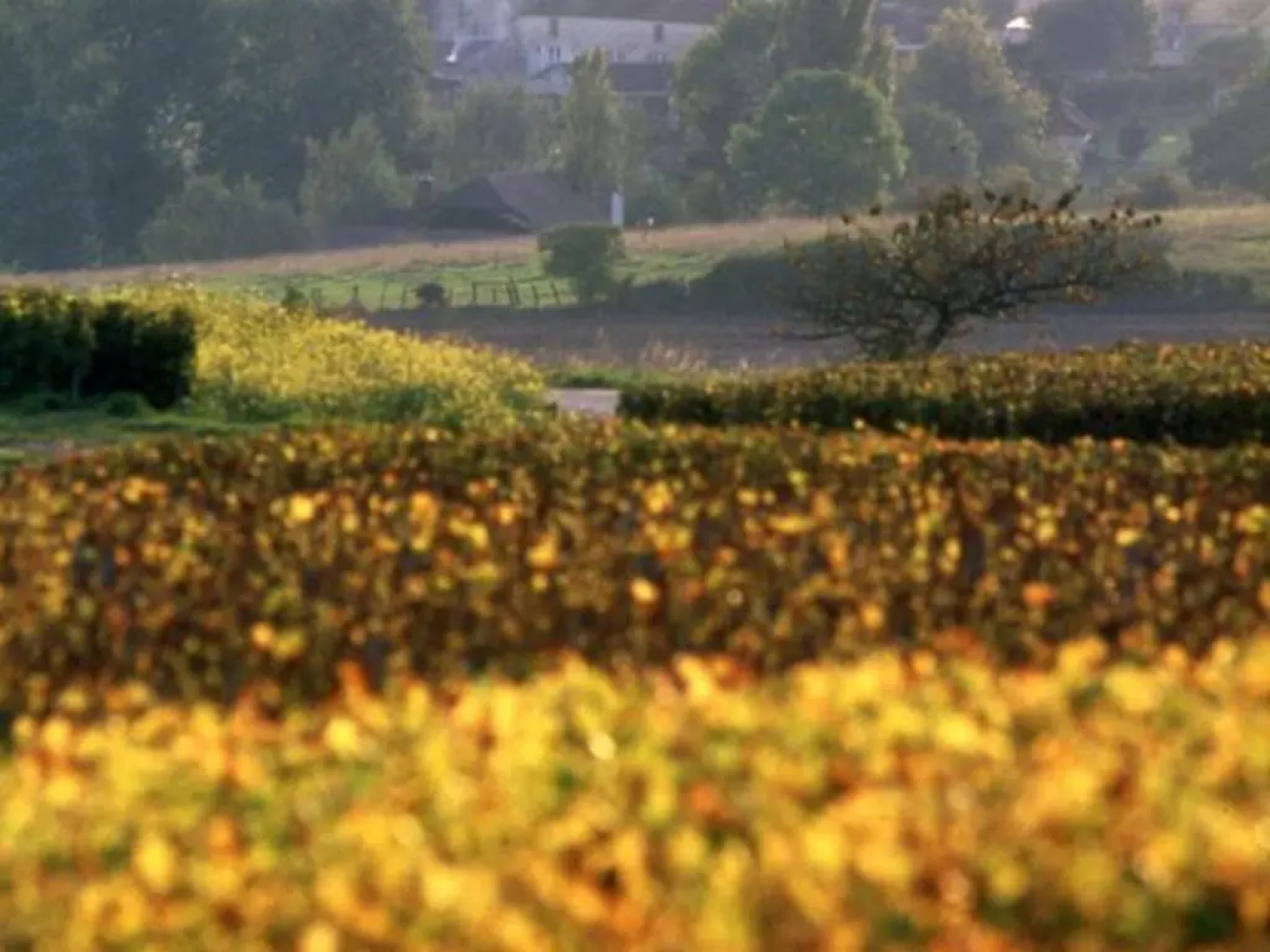 Gîte Bligny, 4 pièces, 6 personnes - FR-1-543-103