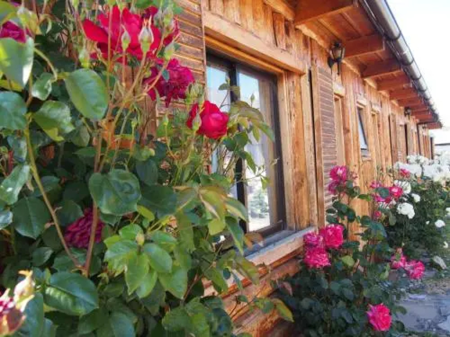 Hotel Último Paraíso