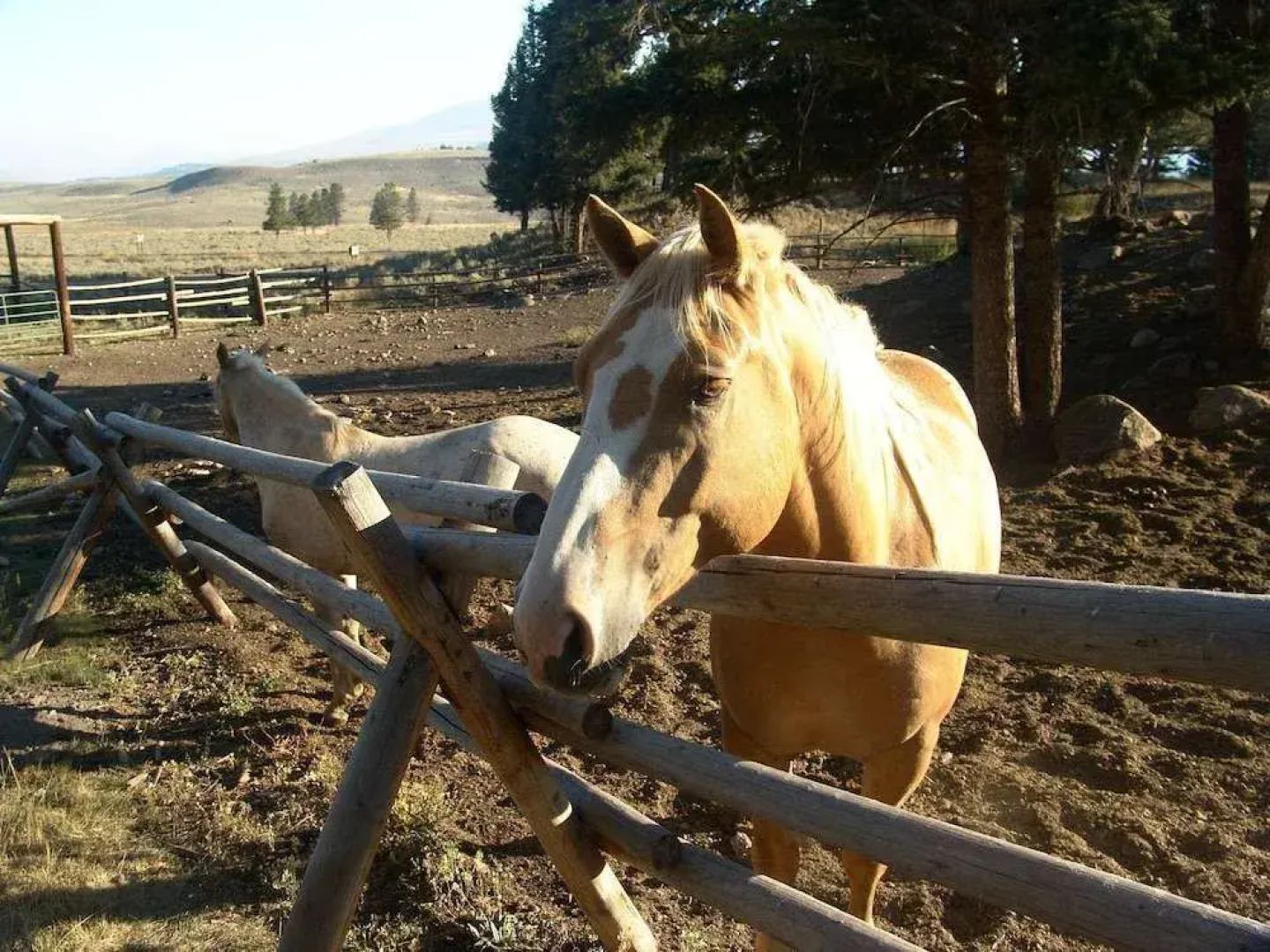 Roosevelt Lodge & Cabins
