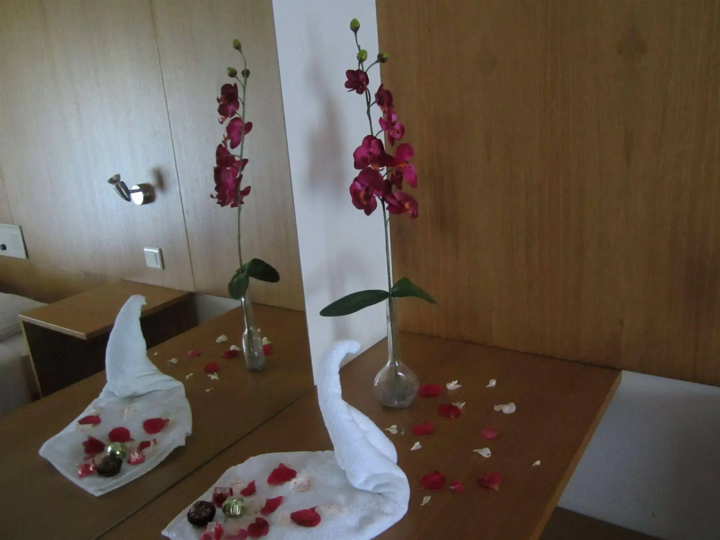 Hotel Eco Salvador