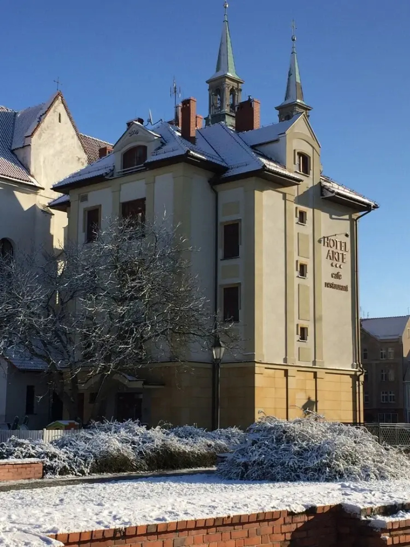 Hotel Arte