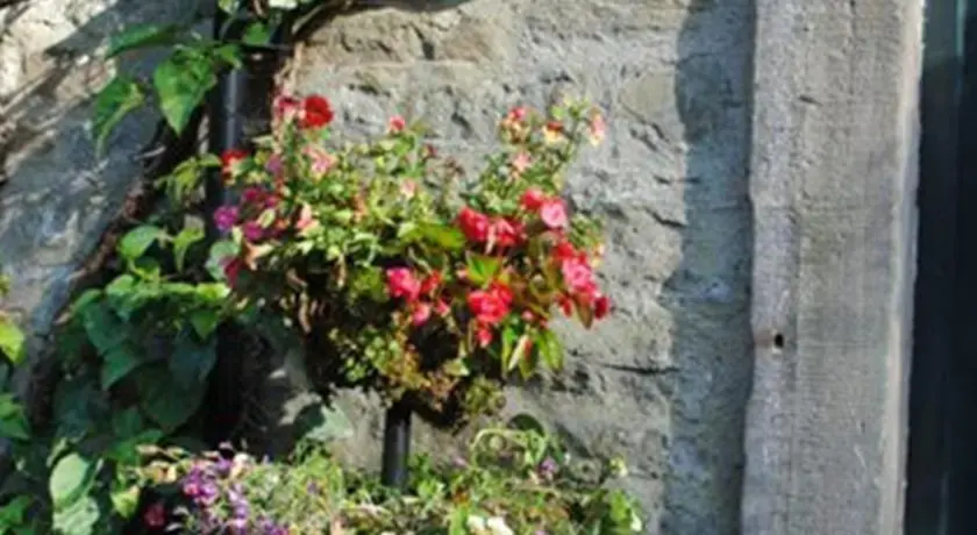 Langcliffe House B&B
