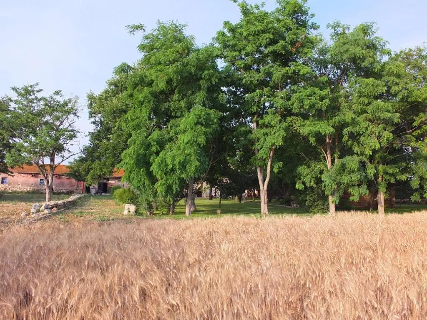 Agriturismo Casal Taccone