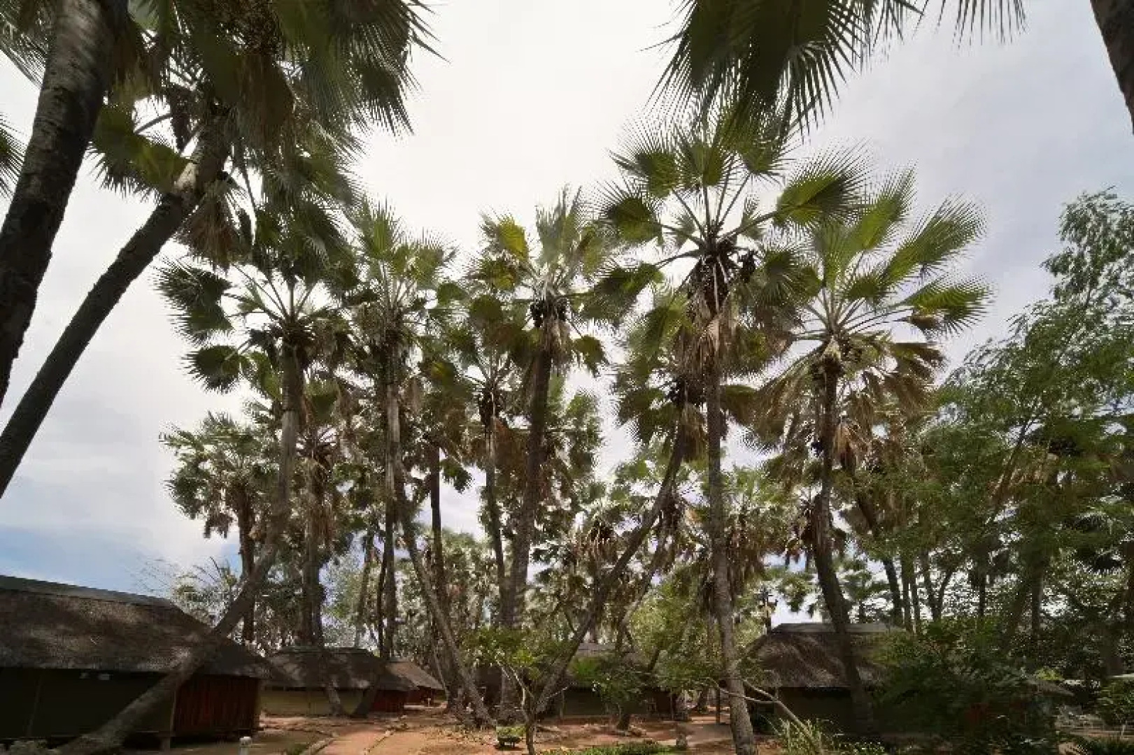 Omarunga Epupa-Falls Camp